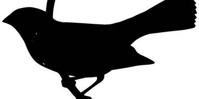 Животные 947