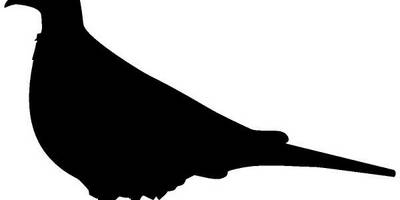 Животные 2367