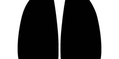 Животные 616