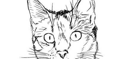 Животные 993