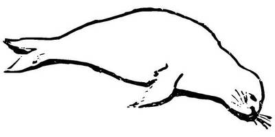 Животные 3809