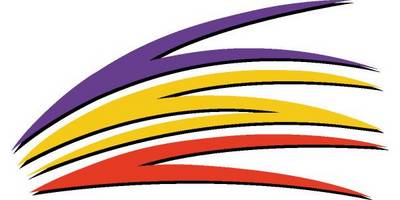 Виниловая наклейка на авто 221