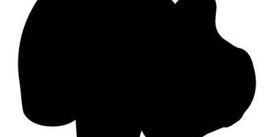 Животные 849