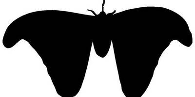 Животные 4184