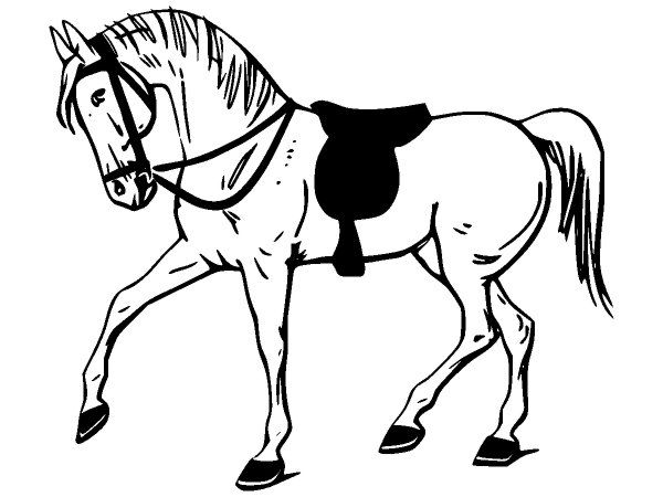 Рисунки лошади для срисовки