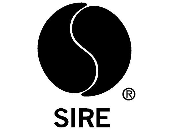 Скачать логотип бесплатно Sire logo