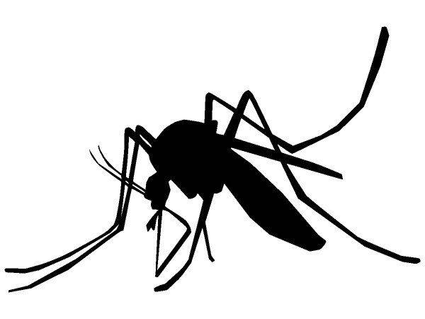 Животные 3194 Животные 3194