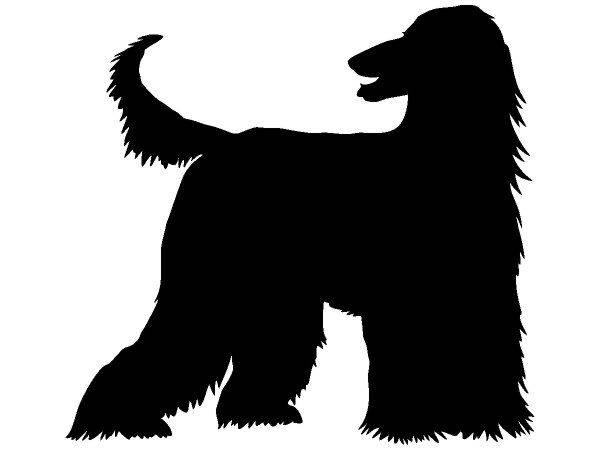 Животные 714 Животные 714