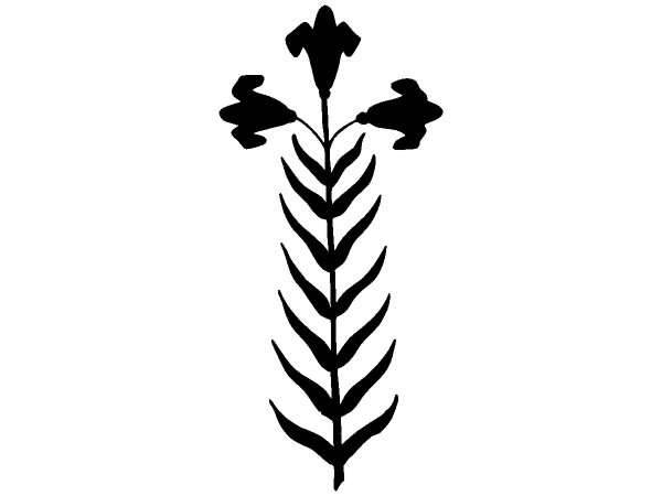 Цветы 549