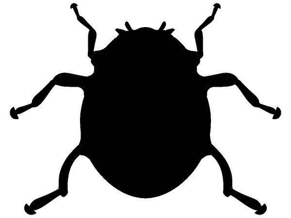 Животные 133 Животные 133