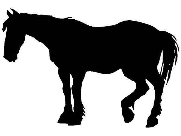 Животные 120 Животные 120