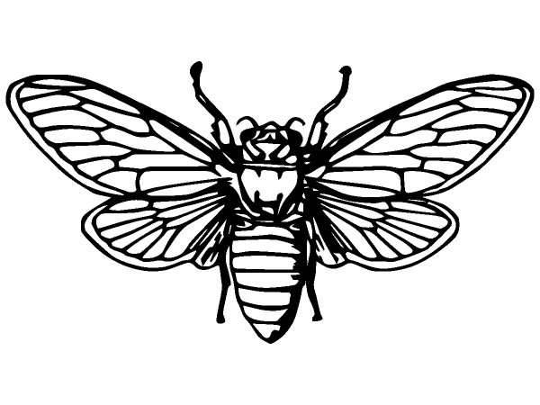 Животные 866