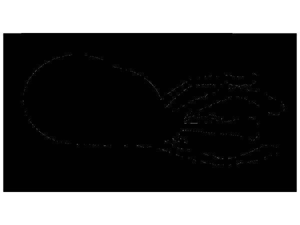 Животные 30 Животные 30