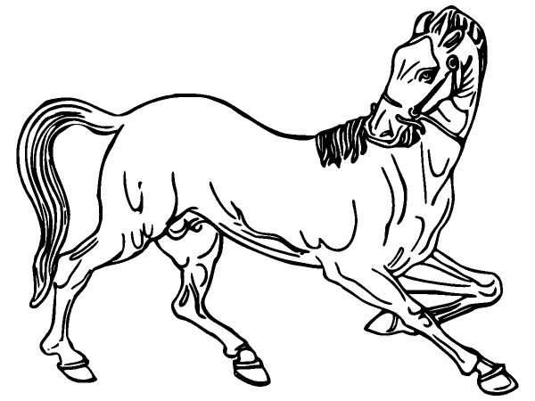 Животные 1301