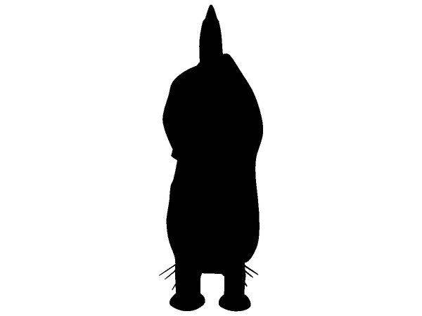 Животные 2403