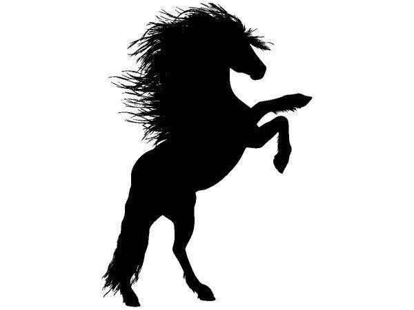 Животные 4018