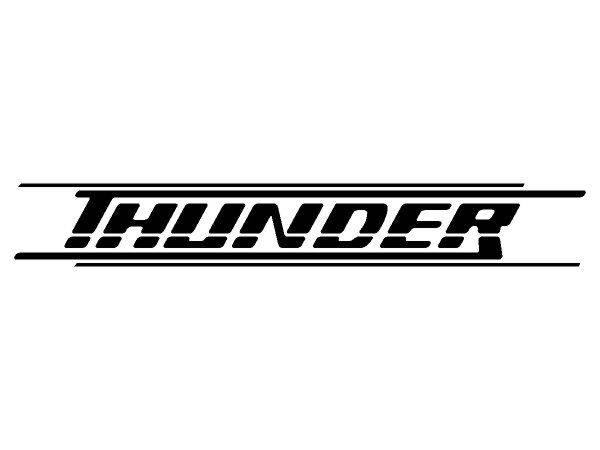 Виниловая наклейка на авто Thunder 613