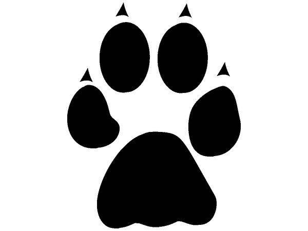 Животные 1234 Животные 1234