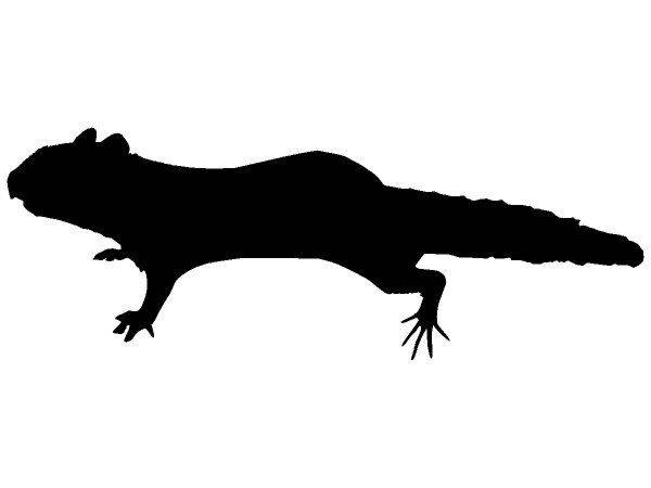 Животные 3526 Животные 3526