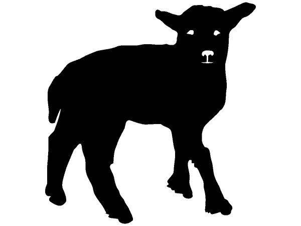 Животные 1331