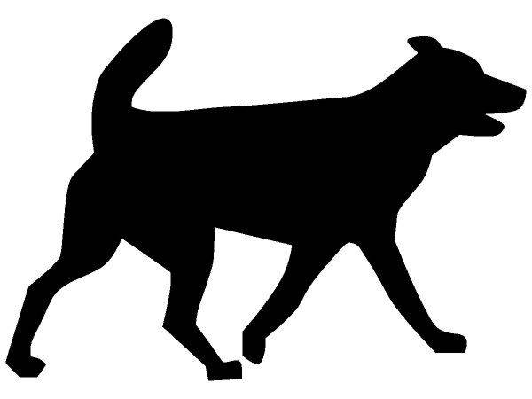 Животные 1105