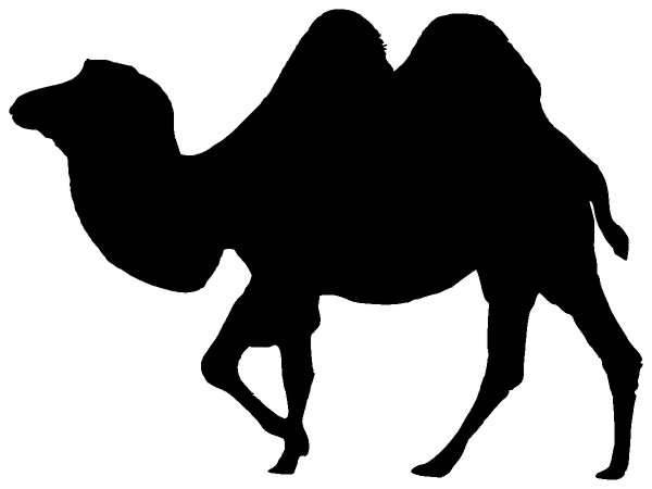 Животные 1209