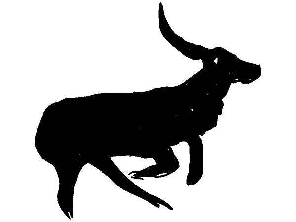 Животные 384 Животные 384