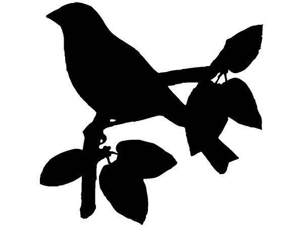 Животные 2765