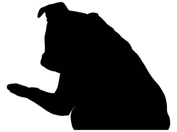 Животные 1468