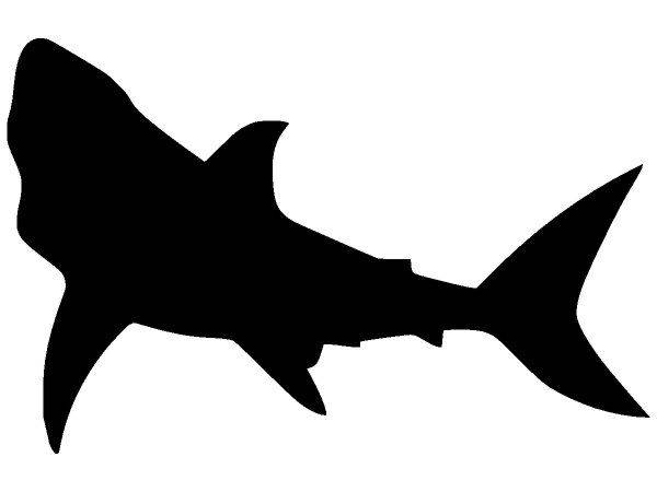 Животные 2155 Животные 2155