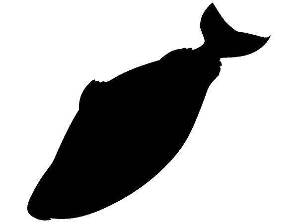 Животные 2084