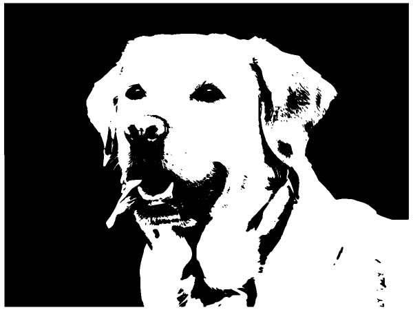 Животные 1111