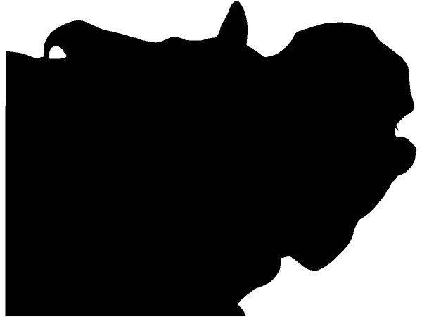 Животные 4171