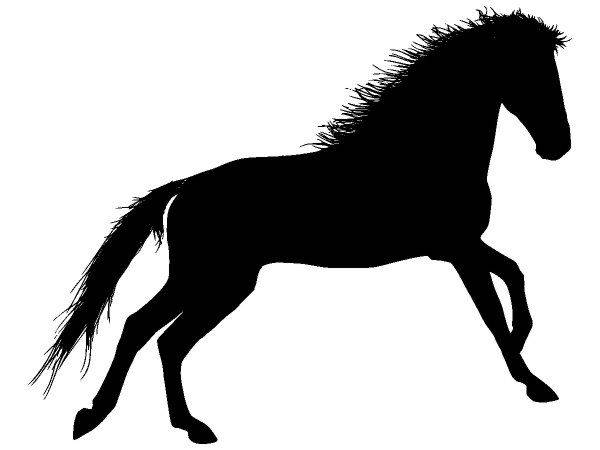 Животные 3937