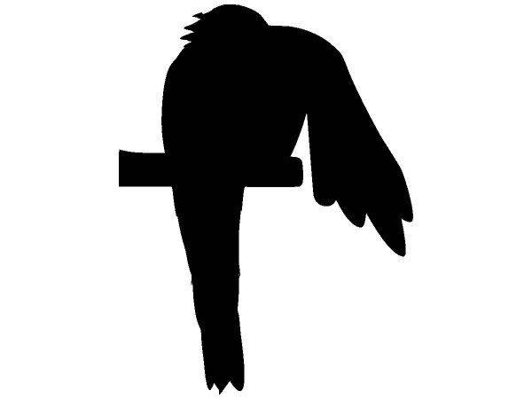 Животные 3293 Животные 3293