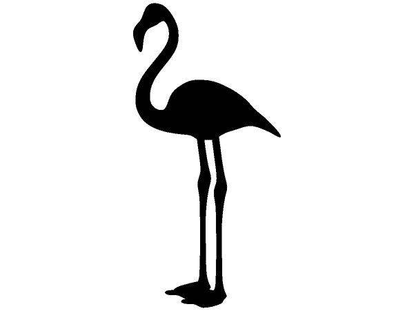 Животные 2700 Животные 2700