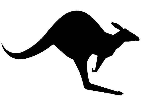 Животные 1688