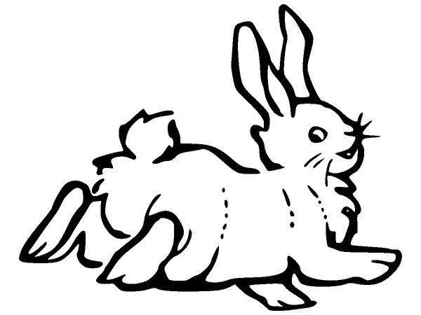 Животные 508