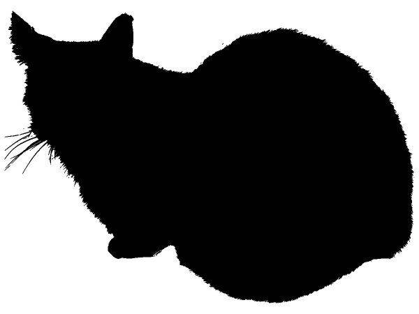 Животные 4254 Животные 4254