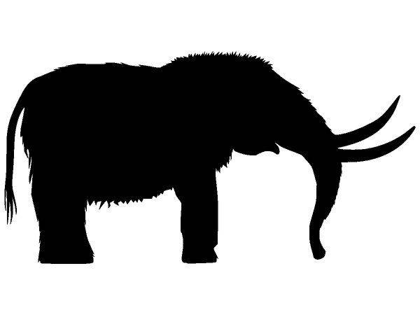 Животные 3730 Животные 3730