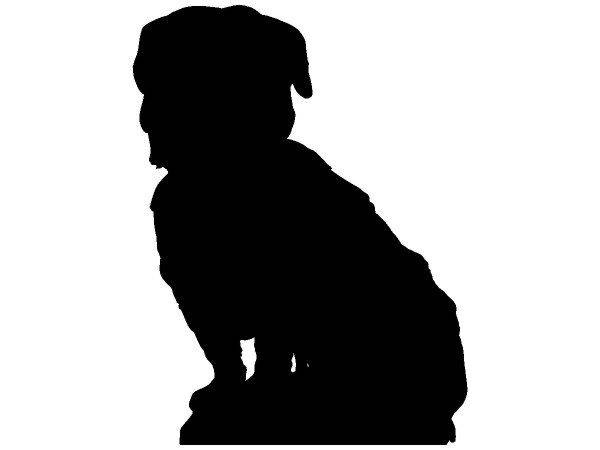 Животные 4248