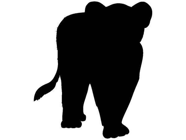 Животные 673 Животные 673