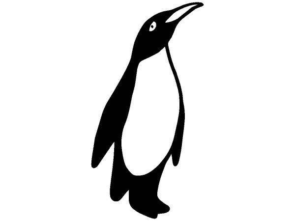 Животные 1212