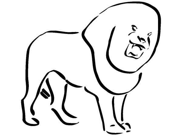 Животные 297