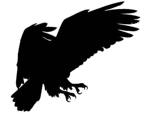 Животные 3481 Животные 3481