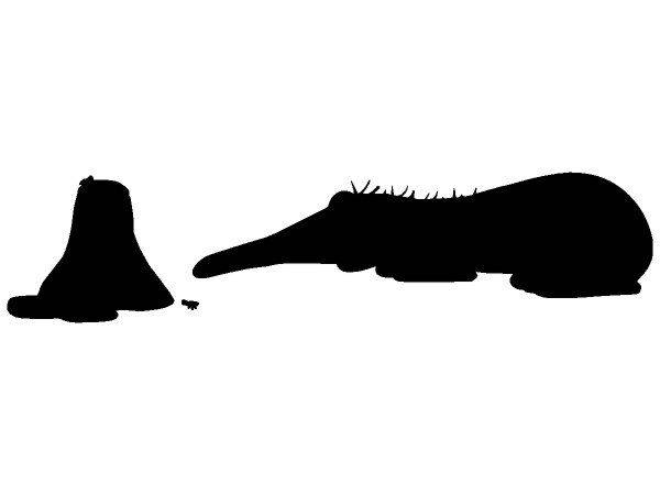 Животные 289