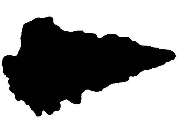 Животные 3071