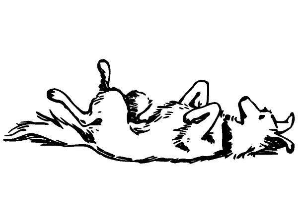 Животные 2833