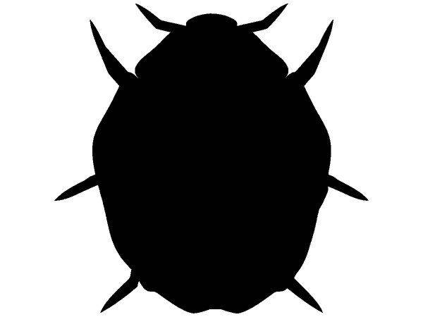 Животные 3062