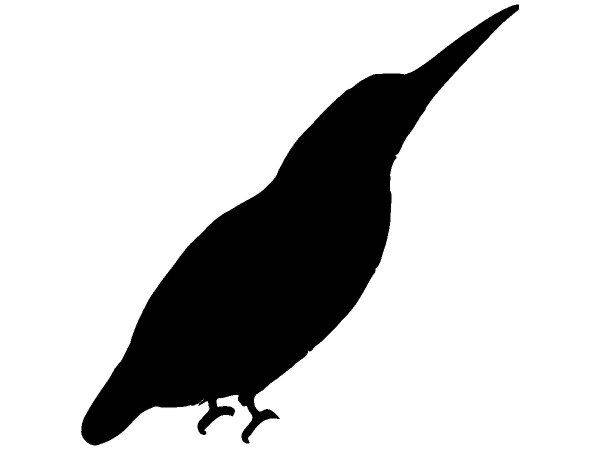 Животные 2780